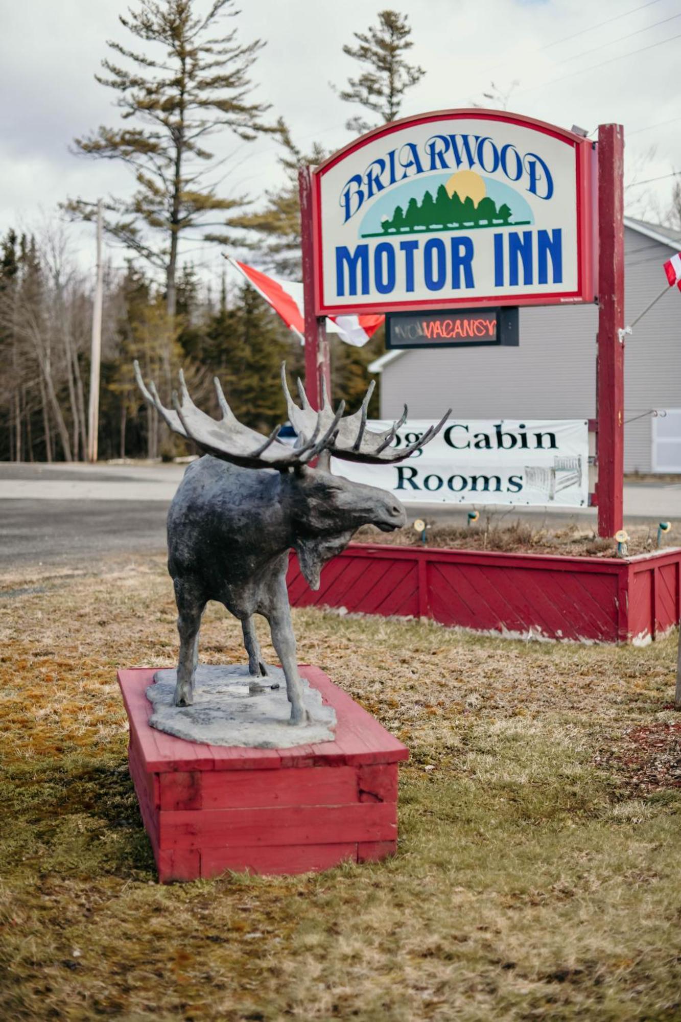 Briarwood Motor Inn Линкольн Экстерьер фото